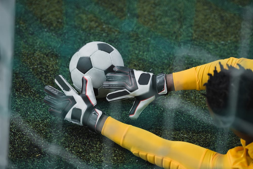 Goalkeeper catch the ball.